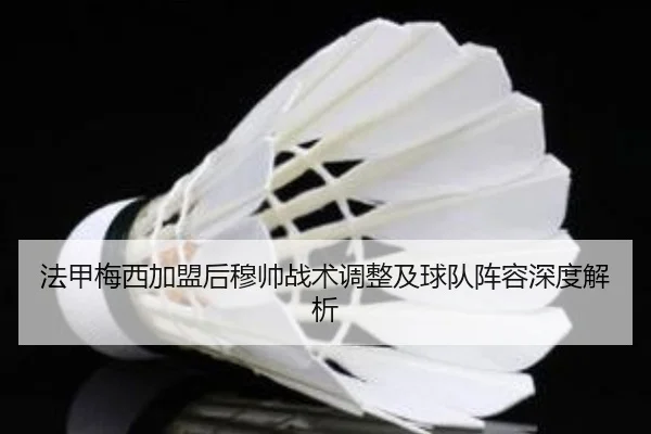 法甲梅西加盟后穆帅战术调整及球队阵容深度解析